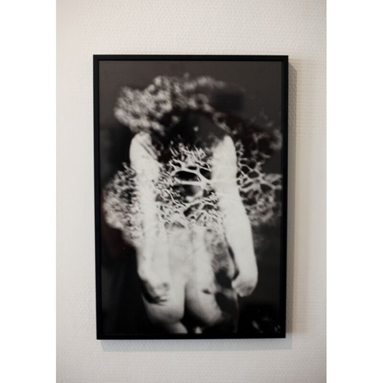 Image 1 of Tableau vintage Mouvements Naturels 02 par Meïdhy Bichon, 2019