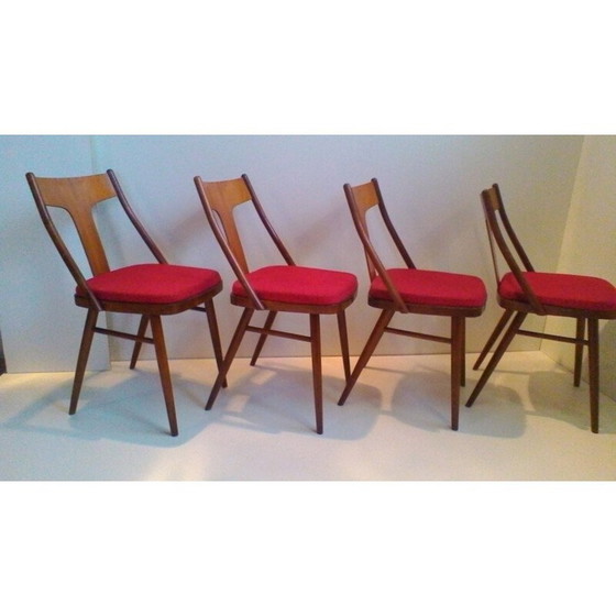Image 1 of Ensemble de 4 chaises en noyer et hêtre - années 1960