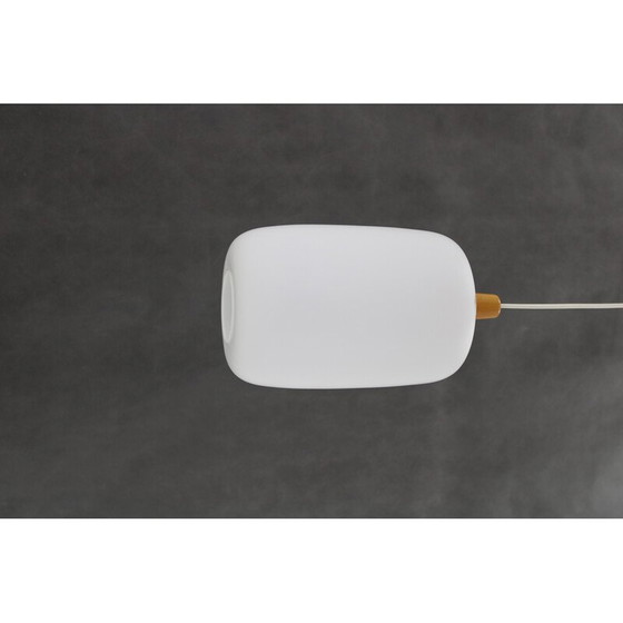 Image 1 of Lampe suspendue vintage en verre par Uluv, Tchécoslovaquie, années 1960