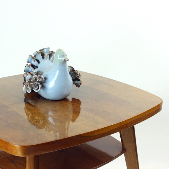 Image 1 of Table basse vintage en noyer Spider par Mier, Tchécoslovaquie années 1960