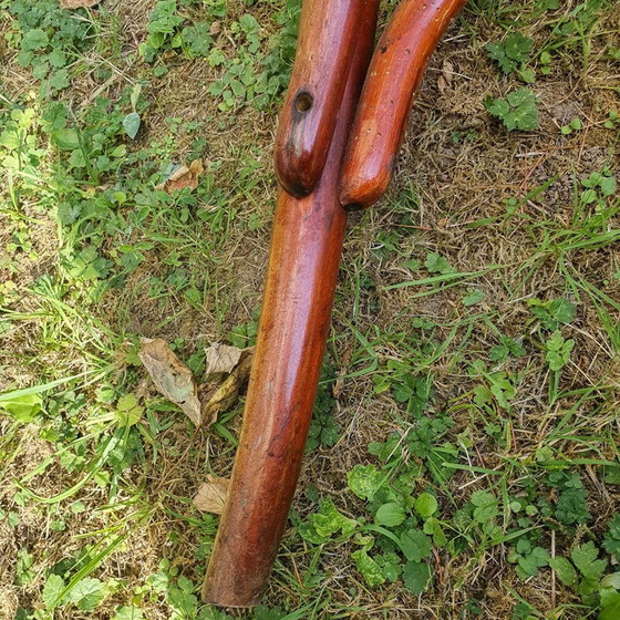 Image 1 of Fauteuil réglable en bois courbé Fischel 1910