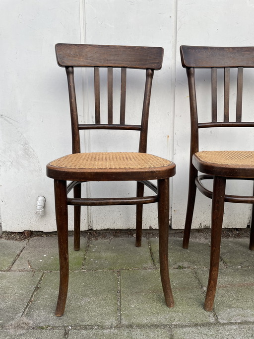 4X Thonet Chair 363 (siège à sangles)