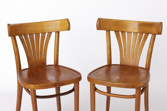 Image 1 of Chaises vintage par Radomsko Zmg, Pologne, bentwood, hêtre, 1970S