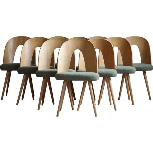 Ensemble de 10 chaises de salle à manger du milieu du siècle par A.Šuman, 1960s