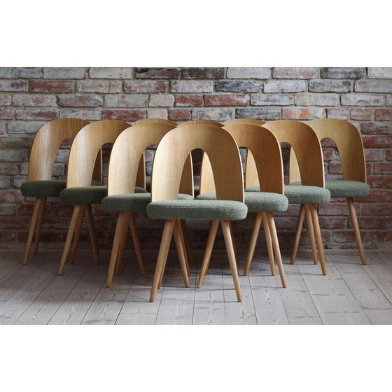 Image 1 of Ensemble de 10 chaises de salle à manger du milieu du siècle par A.Šuman, 1960s