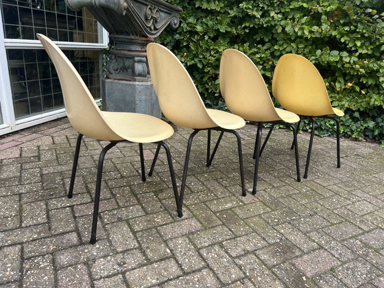 Image 1 of 4 chaises en fibre de verre, années 1960