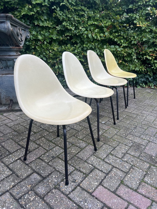 4 chaises en fibre de verre, années 1960