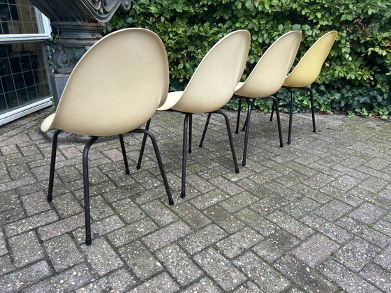 Image 1 of 4 chaises en fibre de verre, années 1960