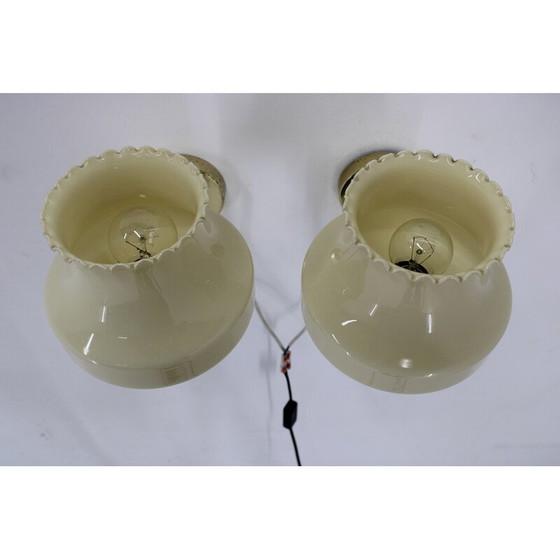 Image 1 of Paire d'appliques vintage, Tchécoslovaquie 1970