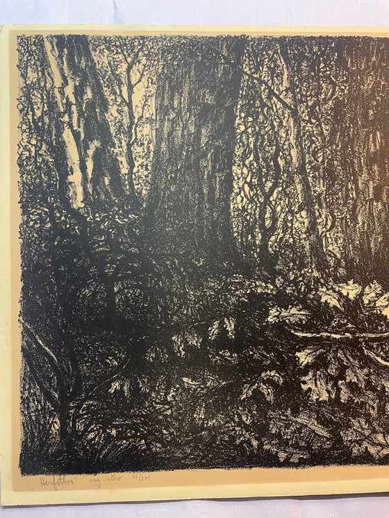 Image 1 of J Van Den Thillart - Forêt d'automne