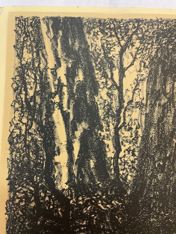 Image 1 of J Van Den Thillart - Forêt d'automne