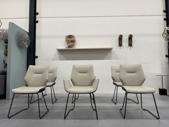 Image 1 of 6 New Leolux Mime Dining Chair Black Chuchubi Leather