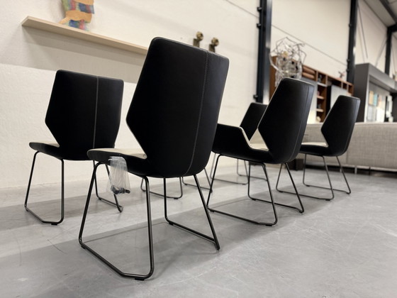 Image 1 of 6 New Leolux Mime Dining Chair Black Chuchubi Leather