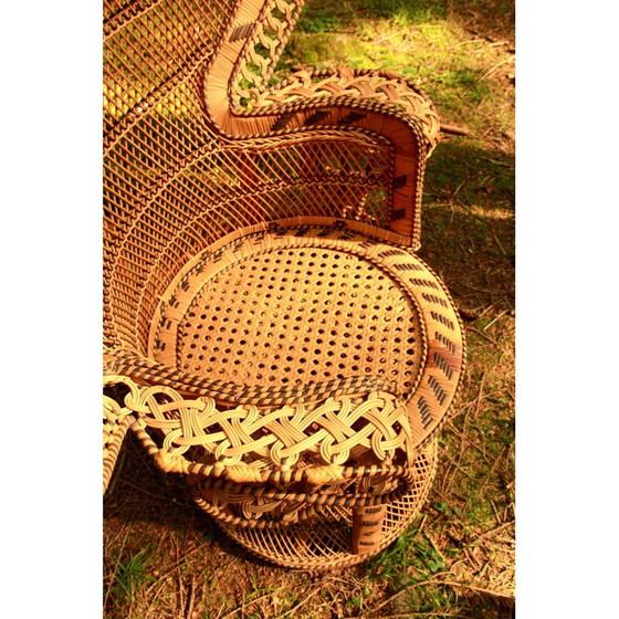 Image 1 of Chaise Vintage Emmanuelle Peacock Italie 1970