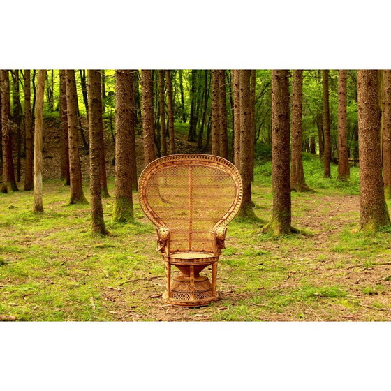 Image 1 of Chaise Vintage Emmanuelle Peacock Italie 1970