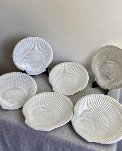 Assiettes En Forme De Coquillage Iridescentes