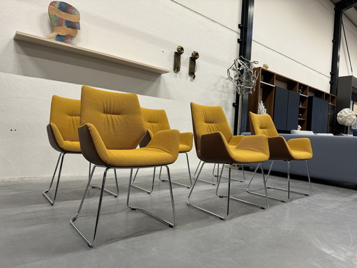 6 chaises de salle à manger Leolux Mime tissu jaune cuir marron