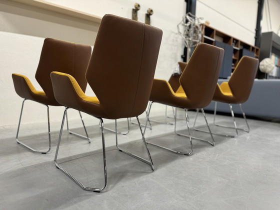 Image 1 of 6 chaises de salle à manger Leolux Mime tissu jaune cuir marron