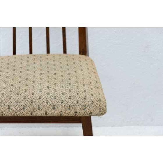 Image 1 of Paire de chaises de salle à manger en bois de hêtre du milieu du siècle avec rembourrage, Tchécoslovaquie années 1960