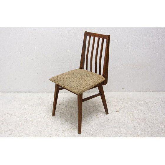Image 1 of Paire de chaises de salle à manger en bois de hêtre du milieu du siècle avec rembourrage, Tchécoslovaquie années 1960
