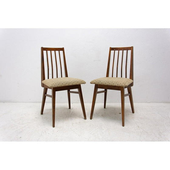 Image 1 of Paire de chaises de salle à manger en bois de hêtre du milieu du siècle avec rembourrage, Tchécoslovaquie années 1960