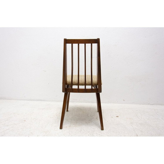 Image 1 of Paire de chaises de salle à manger en bois de hêtre du milieu du siècle avec rembourrage, Tchécoslovaquie années 1960