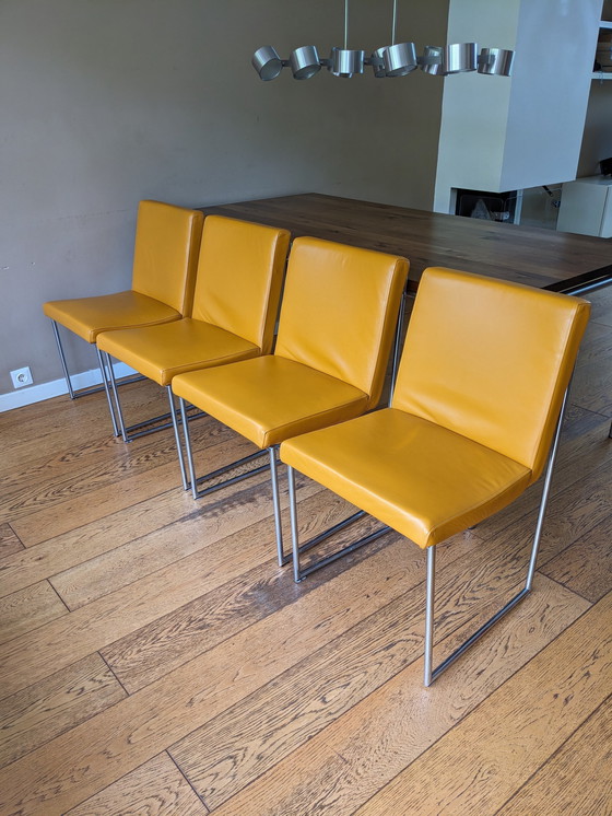 Image 1 of 4x Harvink Type Point et 2x Comma Ochre Yellow