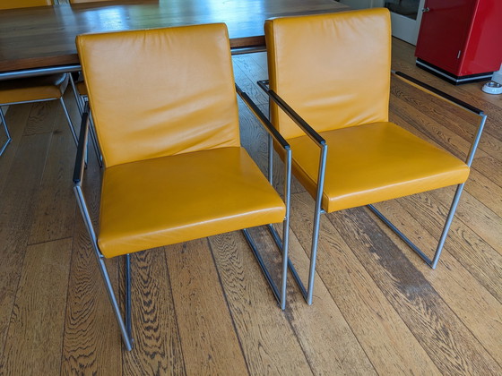 Image 1 of 4x Harvink Type Point et 2x Comma Ochre Yellow