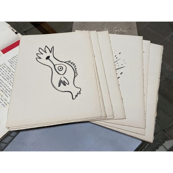 Image 1 of Portfolio vintage "Picasso de 1916 à 1961" par Jean Cocteau et Pablo Picasso pour Rocher, 1962