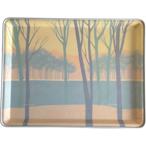 Plateau vintage en fibre de verre par Françoise Wintz pour Alpac, 1980