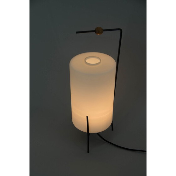 Image 1 of Lampe de table vintage par Napako, Tchécoslovaquie années 1960