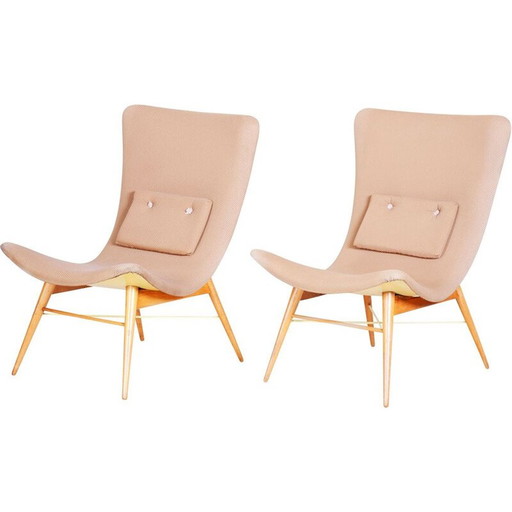 Paire de fauteuils bruns du milieu du siècle dernier, années 1950