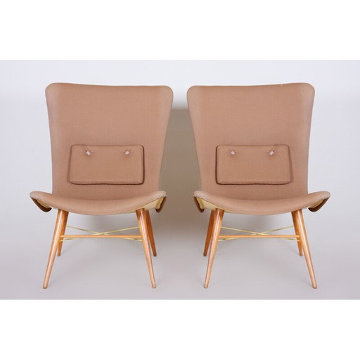 Paire de fauteuils bruns du milieu du siècle dernier, années 1950
