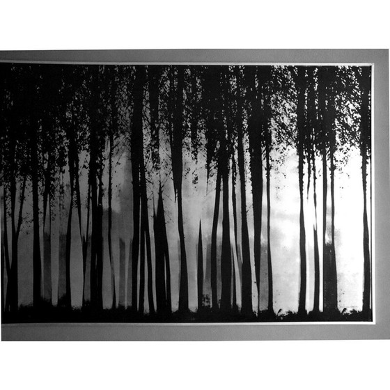 Image 1 of Peinture vintage Fontana Franco design by Almar Milano , Italy 1976