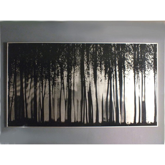 Image 1 of Peinture vintage Fontana Franco design by Almar Milano , Italy 1976