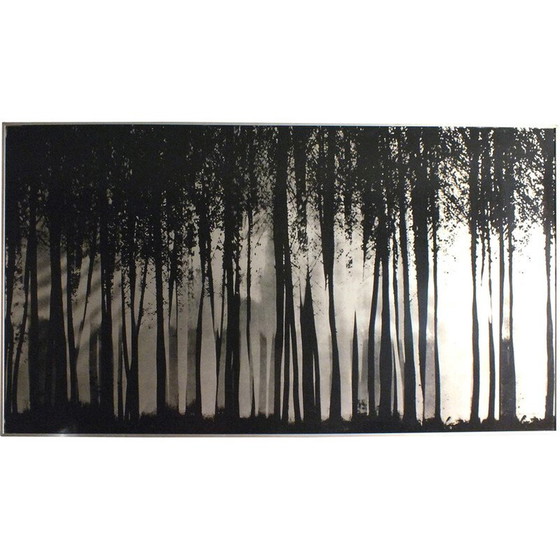 Image 1 of Peinture vintage Fontana Franco design by Almar Milano , Italy 1976