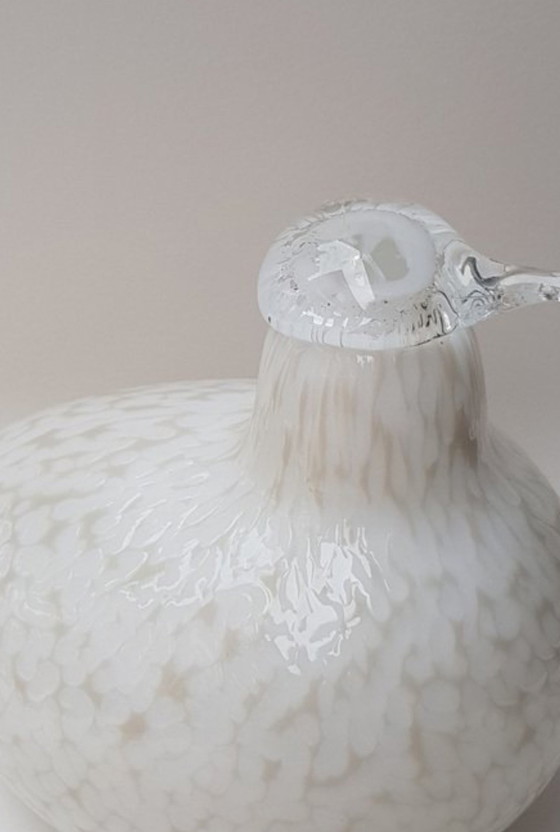 Image 1 of Oiseau en verre finlandais par Oiva Toikka pour Littala, 1970S