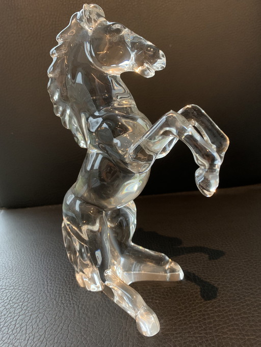 Cheval de verre