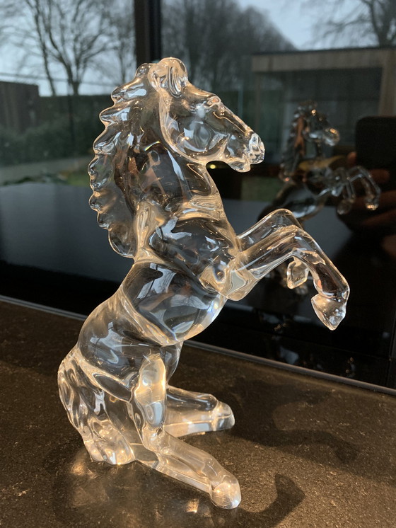 Image 1 of Cheval de verre