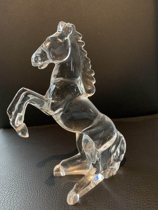 Cheval de verre