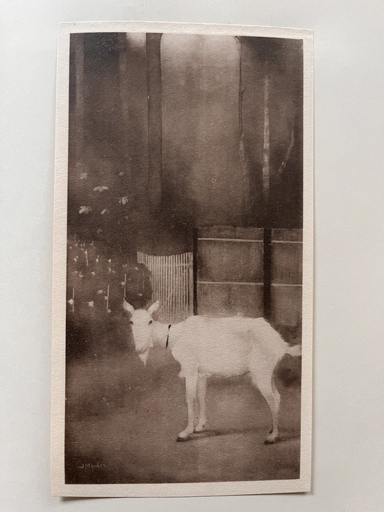 Image 1 of Jan Mankes 1889-1920 / Livre d'Oeuvre de 1923