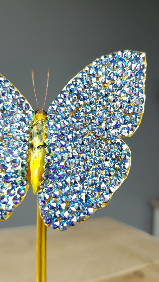 Papillon véritable monté et doré avec de l'or 23Ct et des cristaux Swarovski sous un dôme en verre