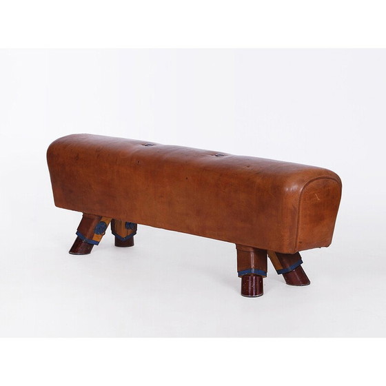 Image 1 of Banc de gymnastique vintage en cuir pour cheval d'arçon, Tchécoslovaquie années 1930