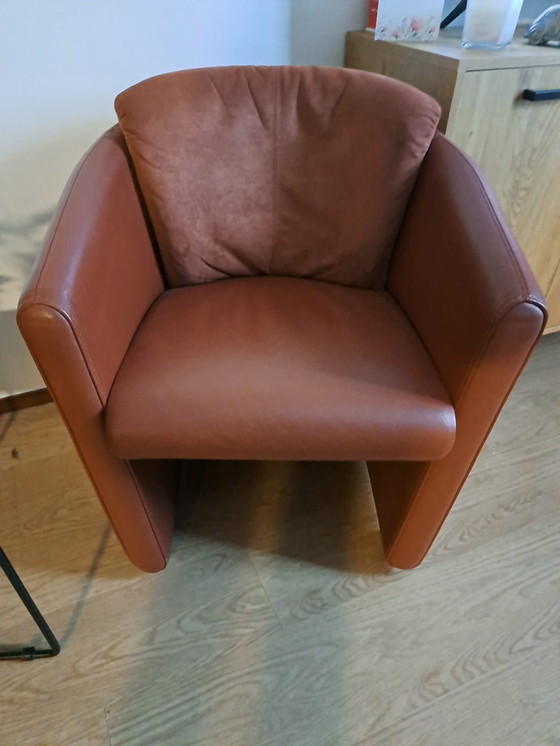 Image 1 of Chaise Leolux rouge pierre, cuir et Alcantara