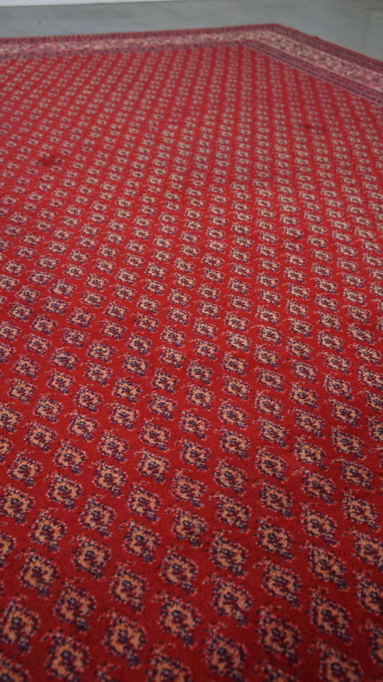 Image 1 of Grand tapis oriental 300X200Cm