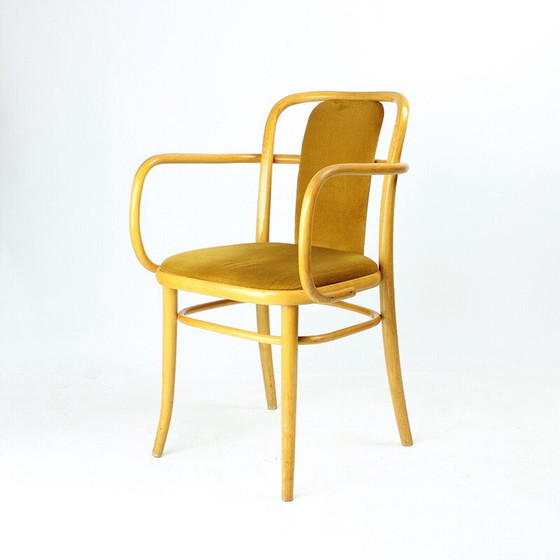 Image 1 of Fauteuil vintage en bois courbé et tissu velours doré pour Ton, Tchécoslovaquie 1930