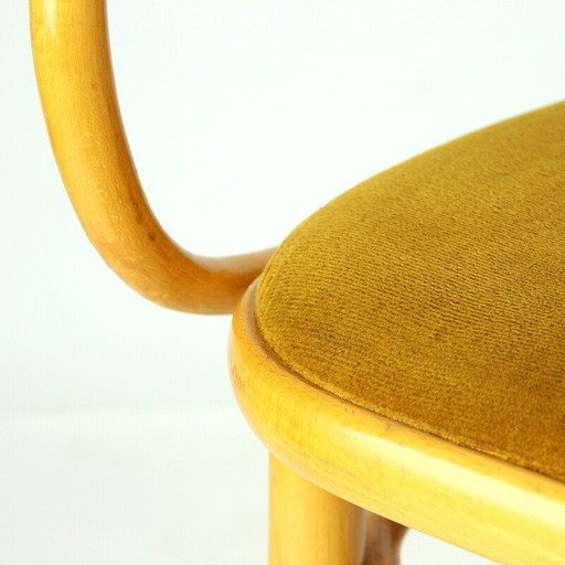 Fauteuil vintage en bois courbé et tissu velours doré pour Ton, Tchécoslovaquie 1930