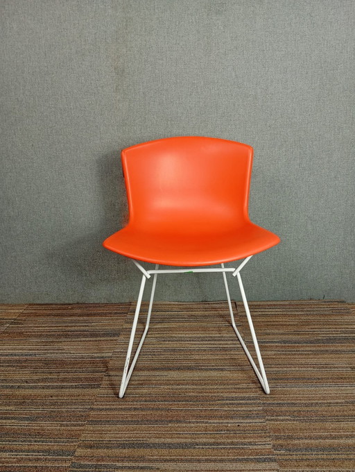 1X Chaise en plastique Harry Bertoia