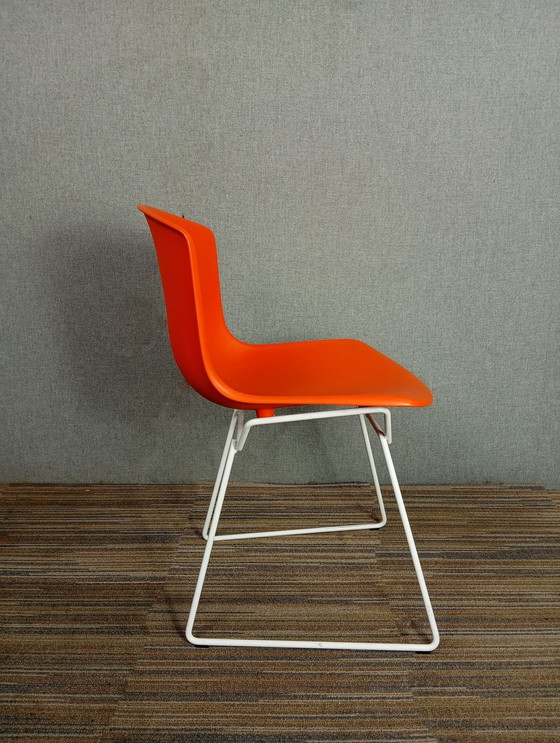 Image 1 of 1X Chaise en plastique Harry Bertoia