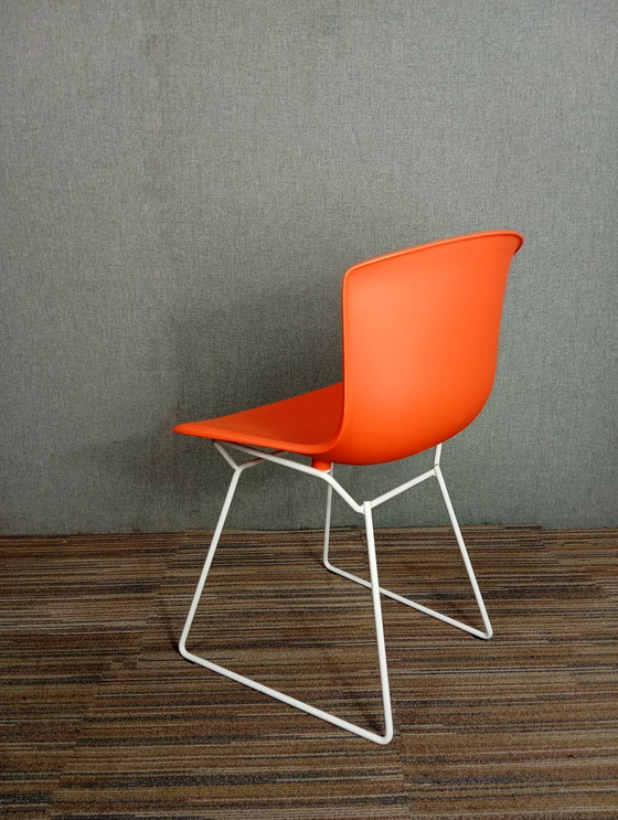 Image 1 of 1X Chaise en plastique Harry Bertoia